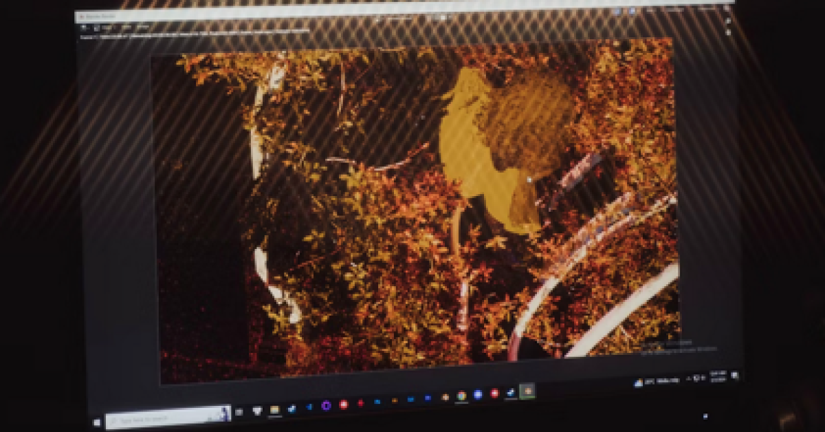 Blender Tools Setup: Optimize Scenes for Realistic Visuals