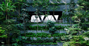 Passive Architecture Tips For Cooling Homes Without AC Use